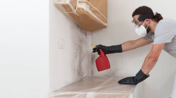 Professional Crawl Space Mold Removal technician working in South Boston, MA