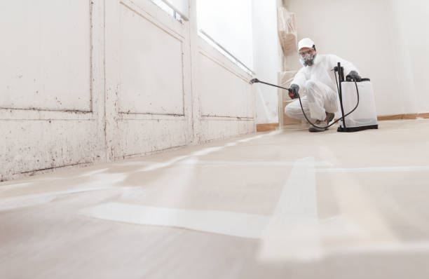 24/7 Emergency Crawl Space Mold Removal experts in South Boston, MA